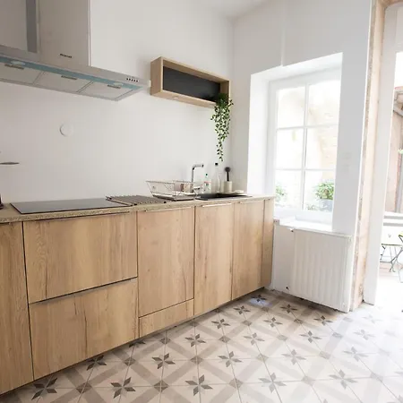 Apartman L'aubertine - Hypercentre Avec Terrasse *