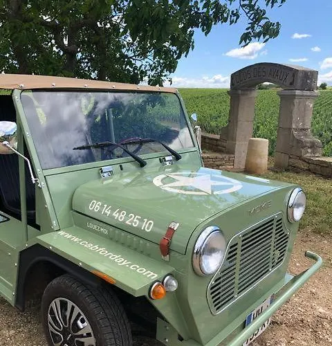 L'aubertine - Hypercentre Avec Terrasse * Бон